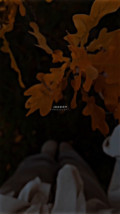 Mera Pehla Junoon💖Slowed Reverb WhatsApp Status 🖤 Jubin Noutiyal ✨#shorts #love