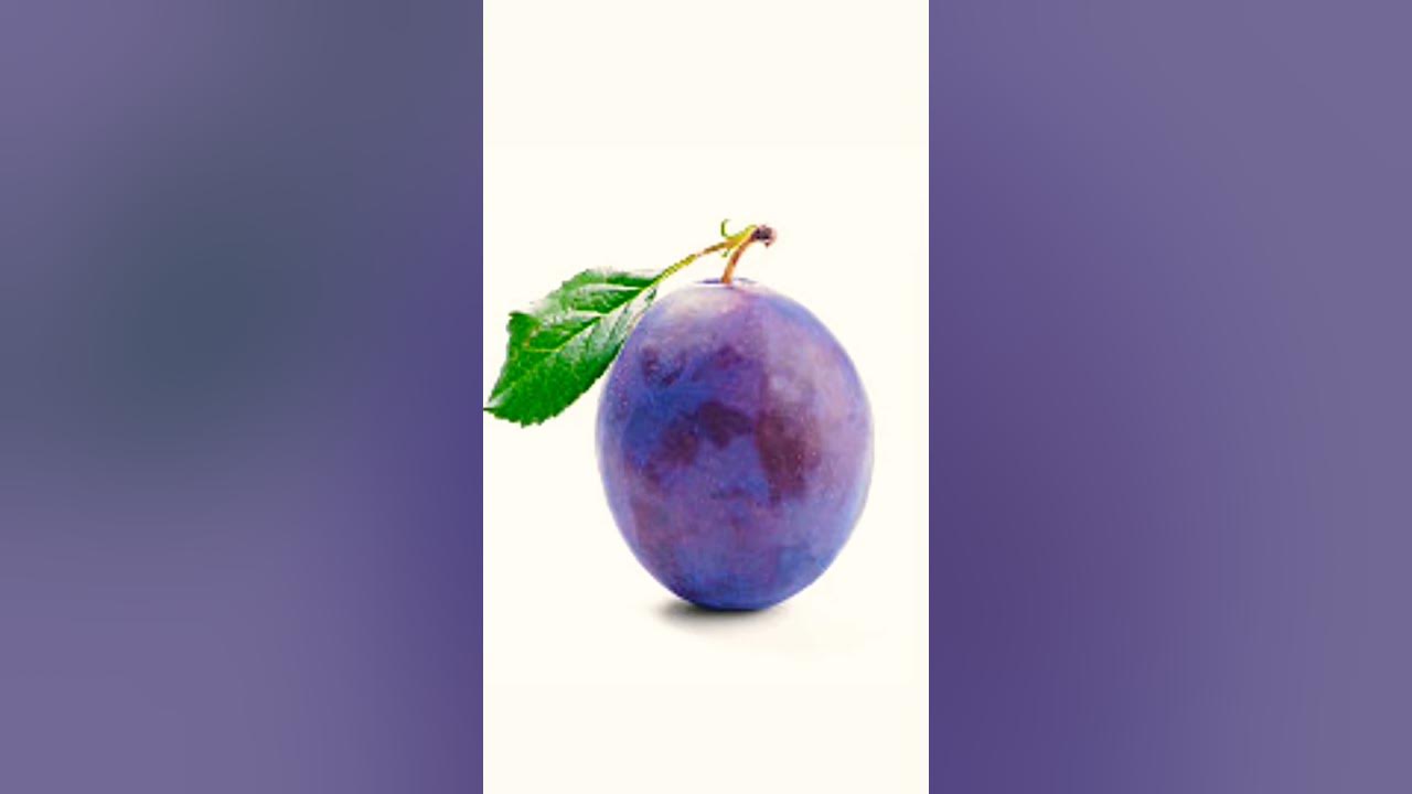 Berry meaning in bengali meaning youtube