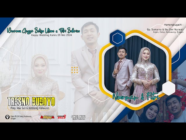 Live Tresno Budoyo Wedding Noerman & Fitri | Sumber Mulyo Audio | Aditjaya Pictures | Kajen 9 Mei 24 class=