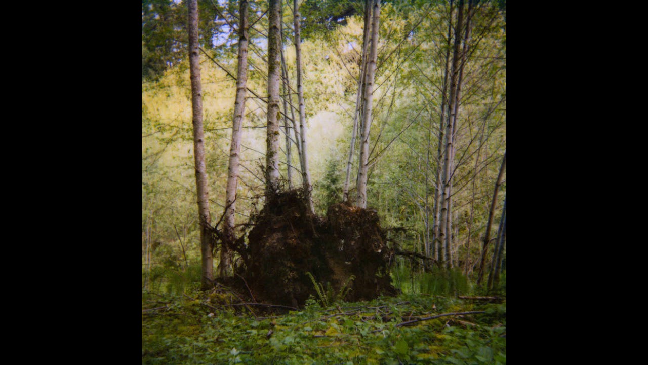 Benoît Pioulard - Stanza I-III (Full Album) auf YouTube ansehen Benoît Pioulard - Stanza I-III (Full Album) auf YouTube ansehen