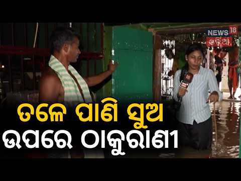 ତଳେ ପାଣି ସୁଅ ଉପରେ ଠାକୁରାଣୀ Huge Embankment Breach In Kanas: 8 Villages Marooned As Daya Rises