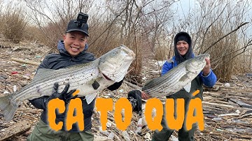 Ở Mỹ, đi câu cá Vược và cái kết bất ngờ.