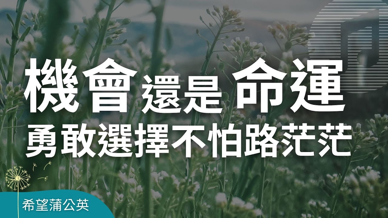 機會還是命運?勇敢選擇不怕路茫茫|學習成長 - YouTube