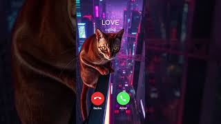Adorable Cat Incoming Call S