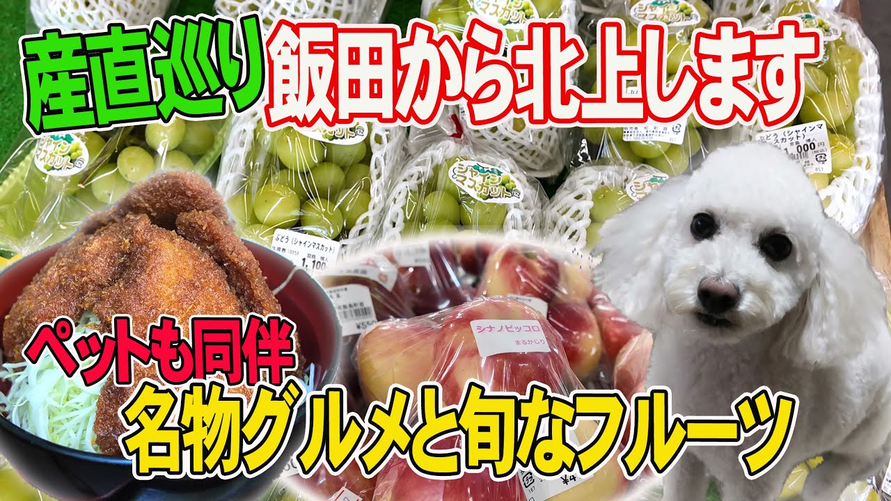 【愛犬と南信州産直めぐり】わんこ連れも安心！ご当地グルメと旬な果実