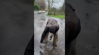 Forgot My Bucket So Had To Improvise 😂 #Farrier #Asmr #Horse