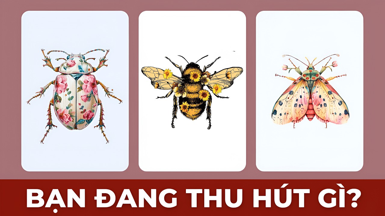 Tarot: Bạn đang thu hút gì? | @ChubbyTarot | Tarot Reading