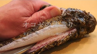 オコゼのさばき方と刺身の作り方 猛毒魚の背ビレにある毒針の取り方 Youtube