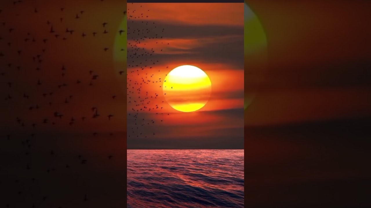 day and night fill the netural butiey😊😊😊