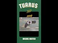 TAURUS RAGING HUNTER .375mag