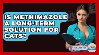 Is Methimazole A Long-Term Solution For Cats? - Ask A Pet Vet