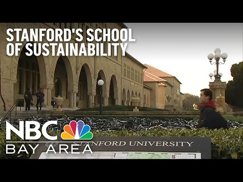 Stanford's New School