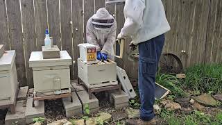 First ever package bees install