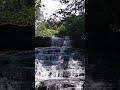 Slow Motion of Waterfall in Kodaikanal #waterfall #travel #nature