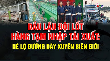 Dầu lậu đội lốt hàng tạm nhập tái xuất: Hé lộ đường dây xuyên biên giới