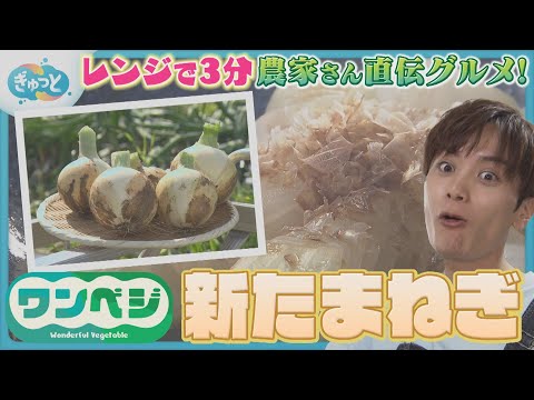 ✽onion農家✽玉ねぎ様 OneVeggie] New Onion Edition | Super Easy in the Microwave