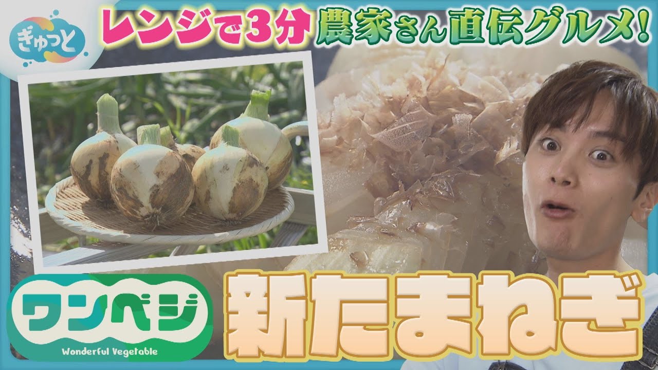 OneVeggie] New Onion Edition | Super Easy in the Microwave