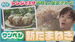 OneVeggie] New Onion Edition | Super Easy in the Microwave