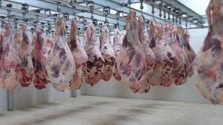 Aptean Food Beverage Erp For Meat, Seafood And Poultry Streamline Your Production