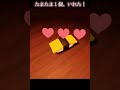 <ひみつのおるすばん:後編>えだまめモドキ、ゲットだぜ! #ロブロックス #roblox #ひみつのおるすばん #shorts #えだまめモドキ