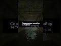СОВЕТЫ ДЛЯ ФЕРМЫ CS2