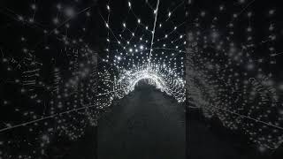 Xmas Lights at The Lost Gardens of Heligan 2025 #christmas #light #holiday #garden