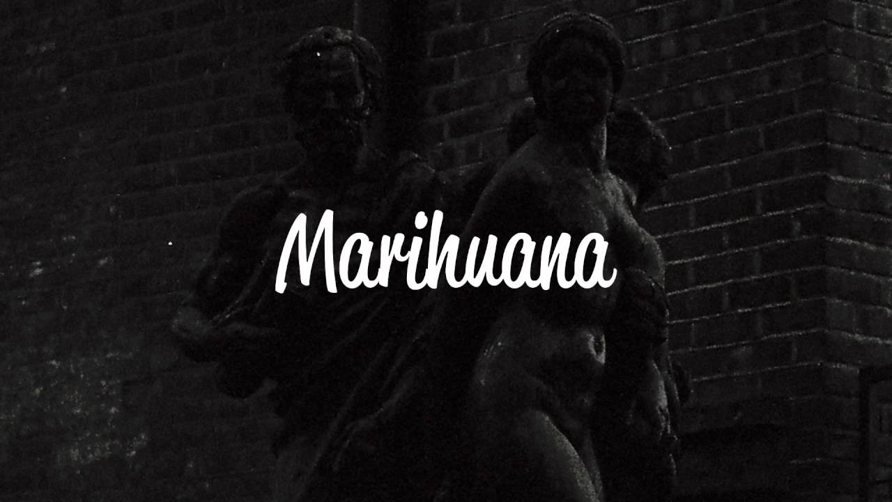 Shamana - dolphin splash it when i whip It 🐬﻿