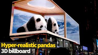 Hyper-realistic pandas glance at people from 3D billboard