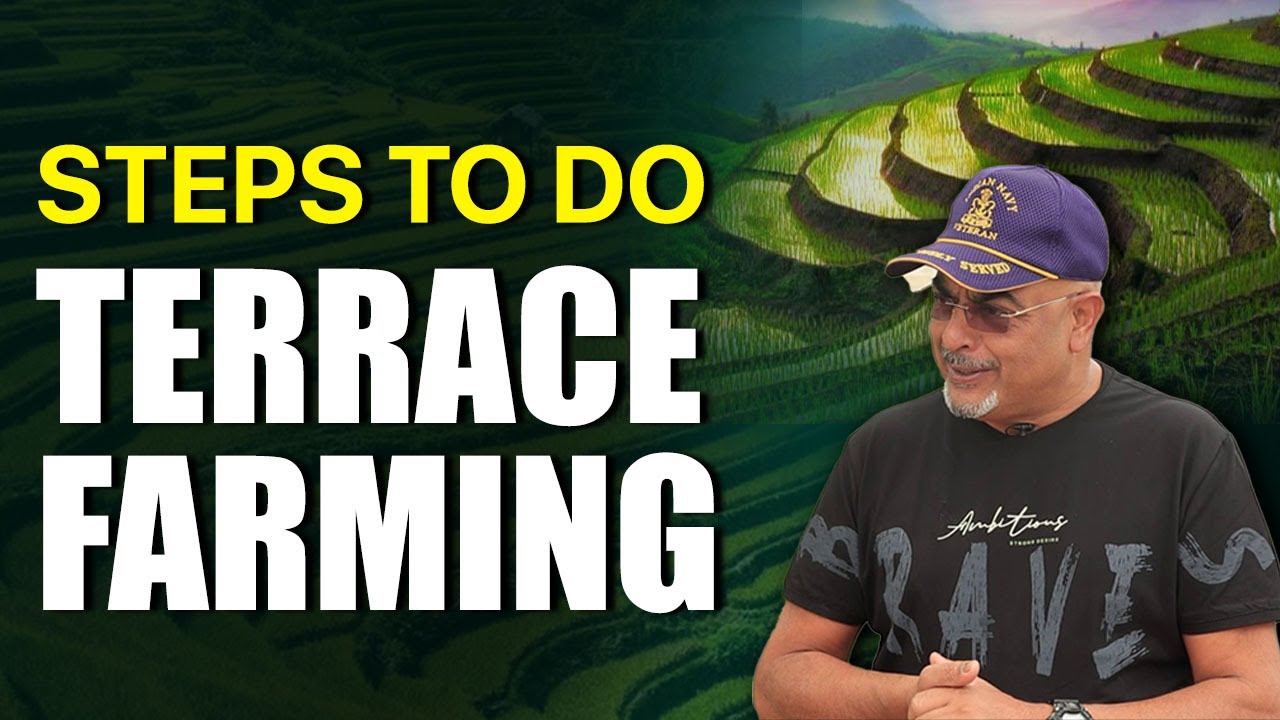 Quick Intro on How to Start Terrace Gardening | Terrace Gardening Tips ...