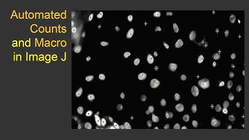 Counts in ImageJ