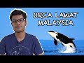 Orca Lawat Malaysia