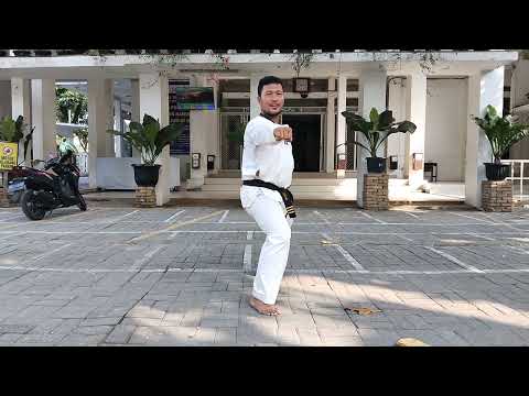 TAEKWONDO GIBON 3