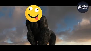 The Best Friend Of King Kong
