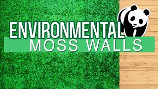 How to Build Your Own Moss Wall | Using Pre-Made Moss Panels