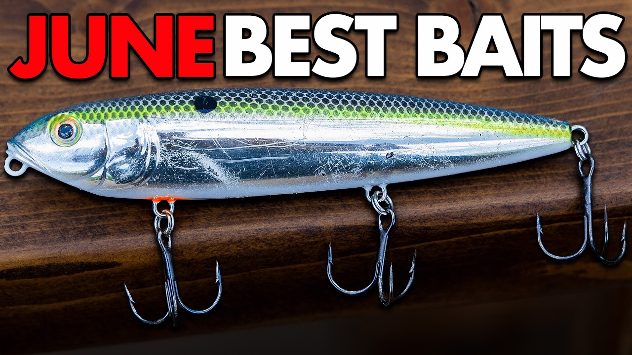 all them lures and no fish I NEVER Go Fishing WITHOUT These 5 Baits in June!