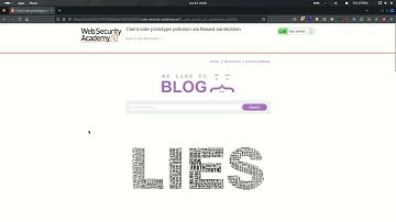 29.3 Lab: Client-side prototype pollution via flawed sanitization - Karthikeyan Nagaraj