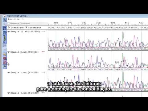 Vídeo: Bin3C: Explorando Dados De Sequenciamento Hi-C Para Resolver Com Precisão Genomas Montados Em Metagenoma