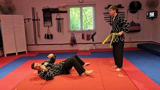 Hapkido - Yellow w/ Green Stripe - #10