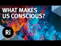 The source of consciousness  with mark solms