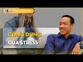 Stress khng xu 2 cng dng quan trng v 3 cch chuyn ho stress  nguyn hu tr