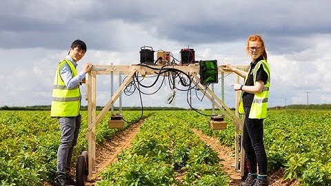 Tuberscan - Improving potato yield forecasting and crop management