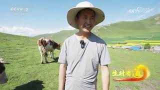 《生财有道》 20230814 神奇打卡 就在骆驼脖子社| 财经风云