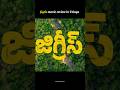 Jigris Movie Review Telugu ⭐ | Hit or Flop Public Talk#viral #shortstelugu #movie #telugufacts