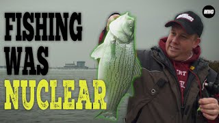 Cracking the Code for Cooling Lake Success Wealth