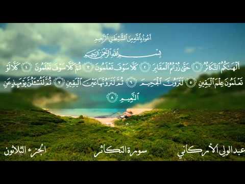 سورة التكاثر بصوت الشيخ عبدالولي الأركاني