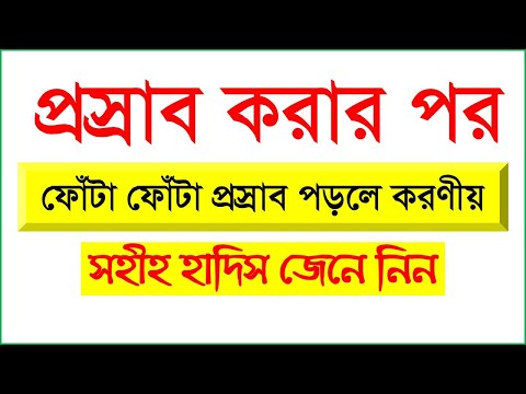 ভিডিও: পোষা প্রাণীর পেশাব কেন: একটি সমস্যা স্বীকৃতি এবং একটি স্বাস্থ্যকর মূত্রনালীর ট্র্যাক্ট প্রচার