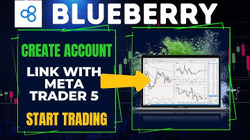 ✅ How to Create and Connect or Link Blueberry Markets Account to MetaTrader 5 (MT5) - PC or Laptop