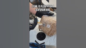 How to Inoculate a Grain Bag with Injection Port | Grow Mushrooms