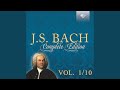 Miniature de la vidéo de la chanson Suite No. 3 In C Major, Bwv 1009: Iv. Sarabande