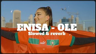 ENISA - OLÉ ( Slowed & reverb )